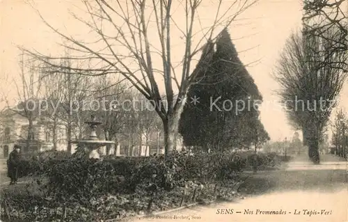 AK / Ansichtskarte Sens Yonne Nos Promenades Le Tapis Vert