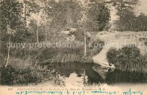 AK / Ansichtskarte Fontainebleau Seine et Marne La Foret La Mare des Brigands Kat. Fontainebleau