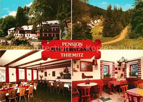 AK / Ansichtskarte Thiemitz Wald Pension zum Forsthaus Kat. Schwarzenbach a.Wald