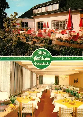 AK / Ansichtskarte Goseplack Hardegsen Altes Forsthaus Cafe Restaurant Hote