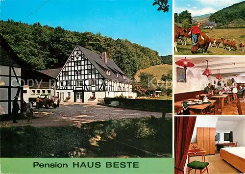 AK / Ansichtskarte Dorlar Sauerland Pension Haus Beste Bauernhof Kat. Schmallenberg