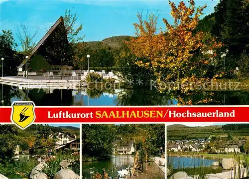 AK / Ansichtskarte Saalhausen Sauerland Kurpark Pavillon See Uferpartie Kat. Lennestadt