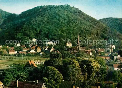 AK / Ansichtskarte Bad Harzburg Teilansicht  Kat. Bad Harzburg