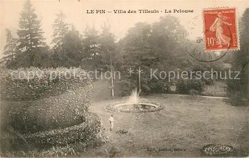 AK / Ansichtskarte Le Pin Seine et Marne Villa des Tilleuls La Pelouse Kat. Le Pin