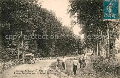 AK / Ansichtskarte Fontenay Tresigny Rozoy en Brie Route de Courpalay Bois La Grange Kat. Fontenay Tresigny