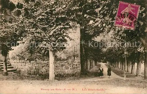 AK / Ansichtskarte Fontenay Tresigny Rozoy en Brie Les Boulevards Kat. Fontenay Tresigny