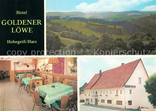 AK / Ansichtskarte Hohegeiss Harz Hotel Goldener Loewe Kat. Braunlage
