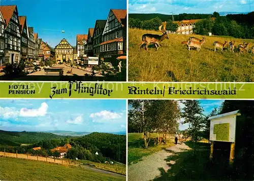 AK / Ansichtskarte Rinteln Hotel Pension Zum Pfingsttor Kat. Rinteln