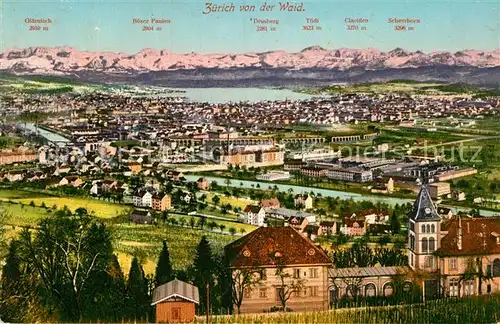 AK / Ansichtskarte Zuerich ZH Panorama Blick von der Waid Alpenblick