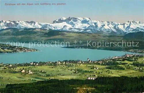 AK / Ansichtskarte Zuerichsee ZH mit den Alpen vom Uetliberg aus gesehen