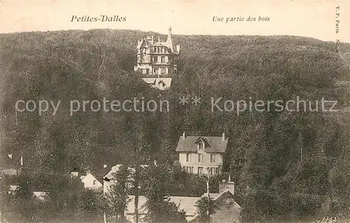 AK / Ansichtskarte Petites Dalles Les Chateau  Kat. Cote d Albatre