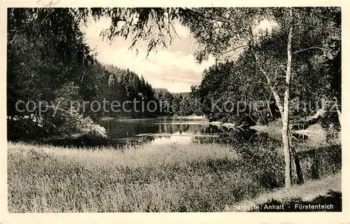 AK / Ansichtskarte Silberhuette Harzgerode Fuerstenteich Kat. Harzgerode