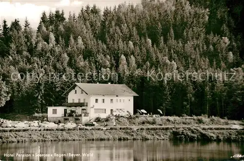 AK / Ansichtskarte Regen Hotel Pension Seerose Kat. Regen