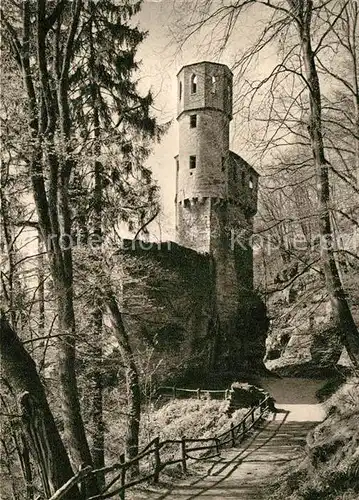 AK / Ansichtskarte Neckarsteinach Burg Schwalbennest Kat. Neckarsteinach