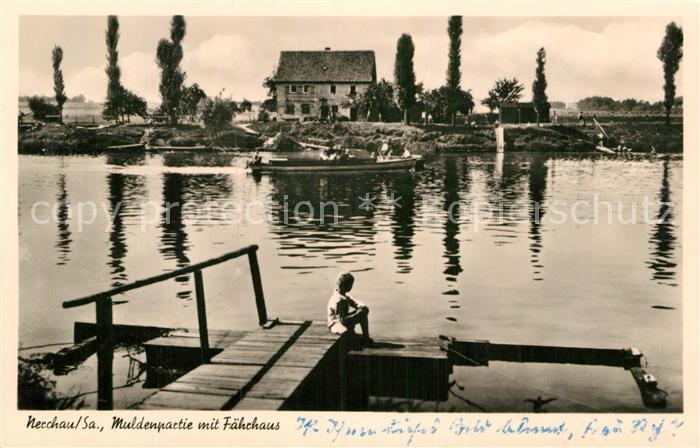 AK / Ansichtskarte Mechau Muldenpartie mit Faehrhaus Kat. Mechau Nr