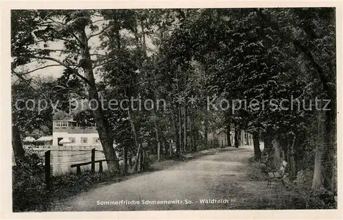 AK / Ansichtskarte Schmannewitz Der Waldteich Kat. Dahlen Sachsen