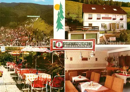 AK / Ansichtskarte Lautenthal Harz Cafe Pension Birkenstuebchen Kat. Langelsheim