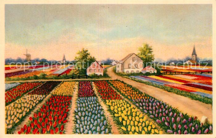 Blumen Tulpen Tulipshow Frans Roozen Vogelenzang Holland / Pflanzen