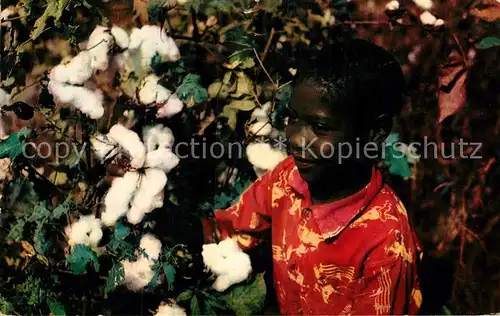 AK / Ansichtskarte Baumwollpfluecker Cotton Pickers Mississippi  Kat. Landwirtschaft