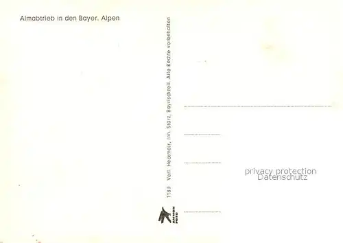 AK / Ansichtskarte Kuehe Almabtrieb Bayerischen Alpen  Kat. Tiere