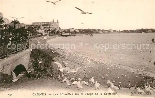 AK / Ansichtskarte Cannes Alpes Maritimes Les Mouettes sur la Plage de la Croisette Cote d Azur Kat. Cannes