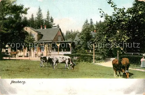 AK / Ansichtskarte Waltersau Arnbruck Heuberg Kat. Arnbruck