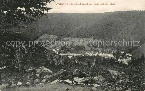 AK / Ansichtskarte Bad Wildbad Auchhalderkopf mit Blick auf die Stadt Kat. Bad Wildbad