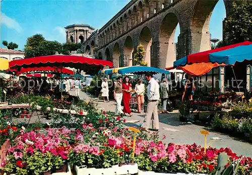 AK / Ansichtskarte Montpellier Herault Le Marche au Fleurs domine par le Chateau d eau Kat. Montpellier