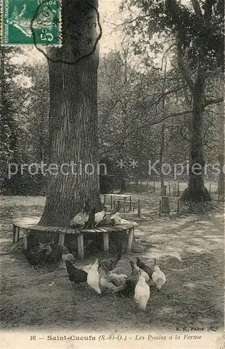 AK / Ansichtskarte Saint Cucufa Les Poules a la ferme