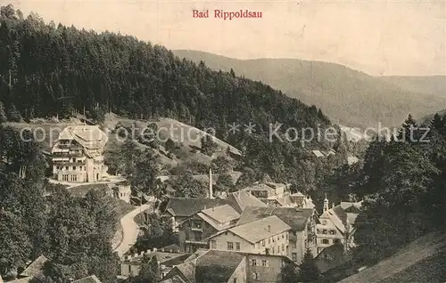 AK / Ansichtskarte Bad Rippoldsau Schwarzwald Teilansicht  Kat. Bad Rippoldsau Schapbach