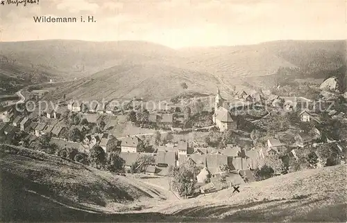 AK / Ansichtskarte Wildemann Panorama Kat. Wildemann Harz