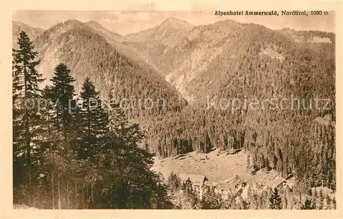 AK / Ansichtskarte Ammerwald Gesamtansicht 