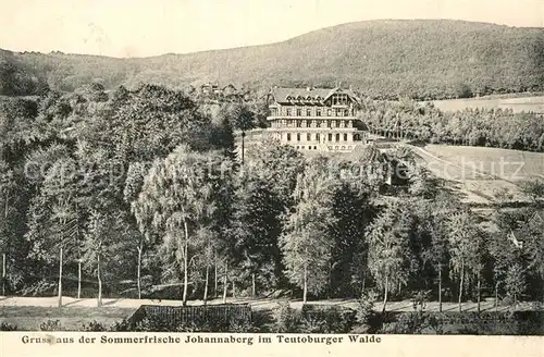 AK / Ansichtskarte Johannaberg Hotel Sommerfrische Teutoburger Wald Kat. Detmold