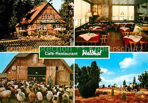 AK / Ansichtskarte Niederhaverbeck Cafe Restaurant Waldhof Kat. Bispingen