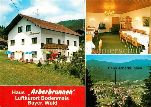 AK / Ansichtskarte Bodenmais Haus Arberbrunnen Panorama Kat. Bodenmais