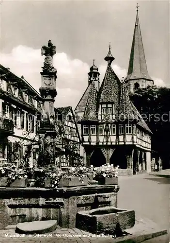 AK / Ansichtskarte Michelstadt Marktbrunnen und altes Rathaus Kat. Michelstadt