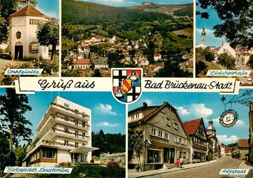 AK / Ansichtskarte Bad Brueckenau Ludwigstrasse Stahlquelle Biologisches Sanatorium Altstadt  Kat. Bad Brueckenau