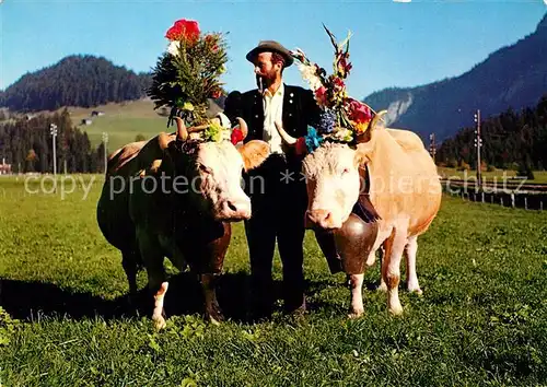 AK / Ansichtskarte Kuehe Alpaufzug Schweiz  Kat. Tiere