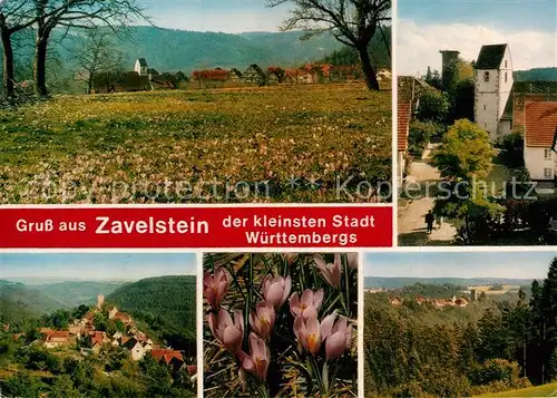 AK / Ansichtskarte Zavelstein Kirche Teilansicht Panorama  Kat. Bad Teinach Zavelstein