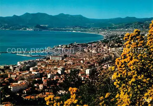 AK / Ansichtskarte Cannes Alpes Maritimes Panorama  Kat. Cannes