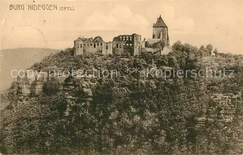 AK / Ansichtskarte Nideggen Eifel Burg Kat. Nideggen