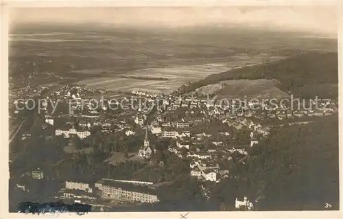 AK / Ansichtskarte Thale Harz Panorama  Kat. Thale