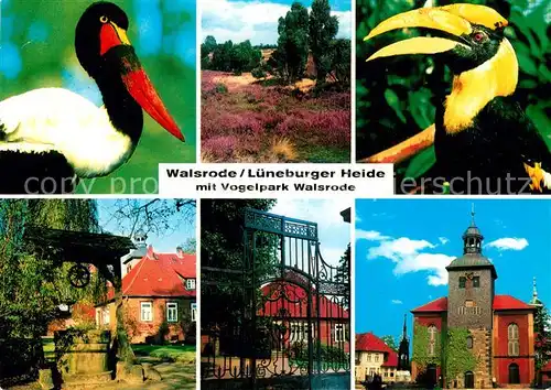 AK / Ansichtskarte Voegel Walsrode Lueneburger Heide Vogelpark  Kat. Tiere
