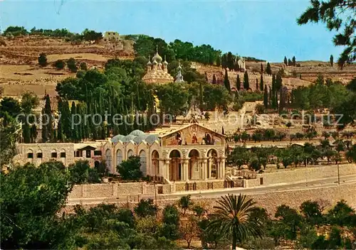 AK / Ansichtskarte Jerusalem Yerushalayim Altstadt Basilika Gaerten von Gethsemane Kat. Israel