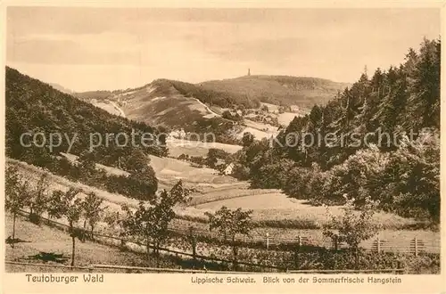 AK / Ansichtskarte Detmold Panorama Blick von der Sommerfrische Hangstein Lippische Schweiz Teutoburger Wald Kat. Detmold