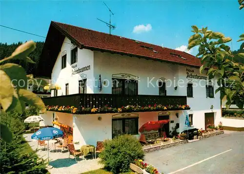 AK / Ansichtskarte Bodenmais Haus Arberbrunn Kat. Bodenmais