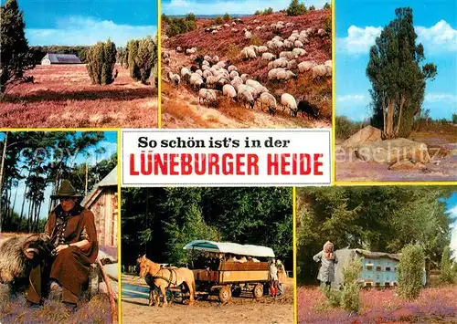 AK / Ansichtskarte Lueneburger Heide Panorama Schafherde Schaefer Pferdewagen Imker Kat. Walsrode