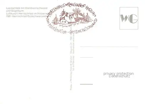 AK / Ansichtskarte Herrischried Lupinenfeld mit Kleinherrischwand und Gugelturm Kat. Herrischried