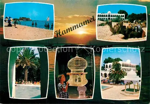 AK / Ansichtskarte Hammamet Strand Kamele Palmen Hotel Kat. Tunesien