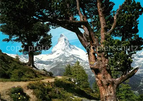 AK / Ansichtskarte Matterhorn VS Blick von der Ryffelalp Kat. Matterhorn